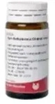 Apis Belladonna Globuli velati 20 g