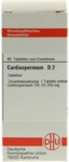 DHU-Arzneimittel GmbH & Co. KG Cardiospermum D 2 Tabletten 80 St 02895892_DBA
