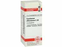 DHU-Arzneimittel GmbH & Co. KG Saccharum Officinarum C 30 Globuli 10 g...