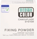 Kryolan GmbH Dermacolor Camouflage Fixierpuder large P1 60 g 15820140_DBA