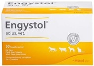 Biologische Heilmittel Heel GmbH Engystol ad us.vet.Ampullen 50 St 02585068_DBA