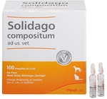 Biologische Heilmittel Heel GmbH Solidago Compositum ad us.vet.Ampullen 100 St
