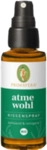 Primavera Life GmbH Atmewohl Kissenspray Bio 30 ml 13167954_DBA