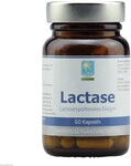 ApoZen Vertriebs GmbH Lactase Kapseln 60 St 09701595_DBA