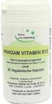 El Compra Import GmbH&Co.KG Pangam Vitamin B15 Kapseln 60 St 02164504_DBA