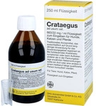 Biokanol Pharma GmbH Crataegus Dilution vet. 250 ml 02728243_DBA