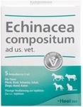 Biologische Heilmittel Heel GmbH Echinacea Compositum ad us.vet.Ampullen 5 St