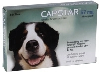 Elanco Deutschland GmbH Capstar 57 mg Tabletten f.gro&szlig;e Hunde 6 St 01280763_DBA