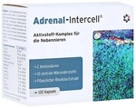 Intercell Pharma GmbH ADRENAL-Intercell Kapseln 120 St 11316315_DBA