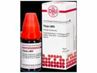 DHU-Arzneimittel GmbH & Co. KG Thuja LM VI Dilution 10 ml 02669262_DBA