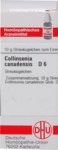 DHU-Arzneimittel GmbH & Co. KG Collinsonia Canadensis D 6 Globuli 10 g 04213589_DBA