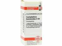 DHU-Arzneimittel GmbH & Co. KG Caulophyllum Thalictroides D 30 Globuli 10 g