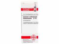 DHU-Arzneimittel GmbH & Co. KG Calcium Carbonicum Hahnemanni D 10 Globuli 10 g