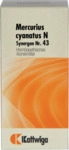 Kattwiga Arzneimittel GmbH Synergon Komplex 43 Mercurius cyanatus N Tabletten 100 St