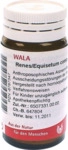 WALA Heilmittel GmbH Renes/Equisetum comp.Globuli 20 g 08787347_DBA