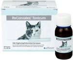 alfavet Tierarzneimittel GmbH Reconvales Tonicum f&uuml;r Katzen 3X45 ml 14029409_DBA