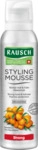Rausch Styling Mousse strong Aerosol 150 ml