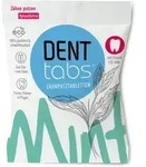 Dr. Dagmar Lohmannpharma + medical GmbH Denttabs Zahnputztabletten stevia-mint