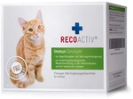 RecoVet GmbH Recoactiv Immun Tonicum f&uuml;r Katzen Kurpackung 3X90 ml 07658234_DBA