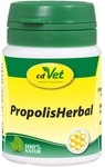 cdVet Naturprodukte GmbH Propolis Herbal Pulver vet. 20 g 13243684_DBA