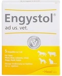 Biologische Heilmittel Heel GmbH Engystol ad us.vet.Ampullen 5 St 02585051_DBA