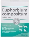 Biologische Heilmittel Heel GmbH Euphorbium Compositum ad us.vet.Ampullen 5X5 ml