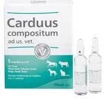 Biologische Heilmittel Heel GmbH Carduus Compositum ad us.vet.Ampullen 5X5 ml