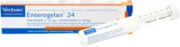 Virbac Tierarzneimittel GmbH Enterogelan 24 Paste vet. 27.6 g 05355357_DBA