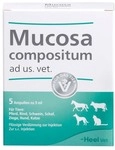 Biologische Heilmittel Heel GmbH Mucosa compositum ad us.vet.Ampullen 5X5 ml