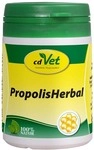 cdVet Naturprodukte GmbH Propolis Herbal Pulver vet. 45 g 13243632_DBA