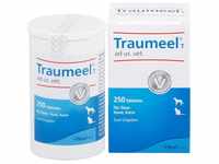Biologische Heilmittel Heel GmbH Traumeel T ad us.vet.Tabletten 250 St 04055630_DBA