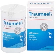Biologische Heilmittel Heel GmbH Traumeel T ad us.vet.Tabletten 250 St 04055630_DBA
