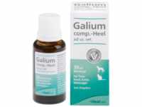 Biologische Heilmittel Heel GmbH Galium COMP.-Heel ad us.vet.Tropfen 30 ml