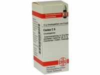 DHU-Arzneimittel GmbH & Co. KG Cactus C 6 Globuli 10 g 07455235_DBA