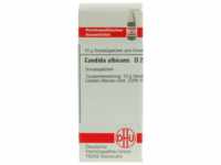 DHU-Arzneimittel GmbH & Co. KG Candida Albicans D 200 Globuli 10 g 07455519_DBA