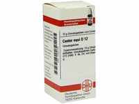 DHU-Arzneimittel GmbH & Co. KG Castor equi D 12 Globuli 10 g 07455749_DBA