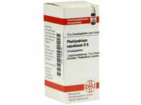 DHU-Arzneimittel GmbH & Co. KG Phellandrium Aquaticum D 6 Globuli 10 g...