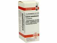 DHU-Arzneimittel GmbH & Co. KG Robinia Pseudacacia D 3 Globuli 10 g 07459492_DBA