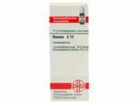 DHU-Arzneimittel GmbH & Co. KG Rumex C 12 Globuli 10 g 07459517_DBA