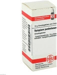 DHU-Arzneimittel GmbH & Co. KG Syzygium Jambolanum D 2 Globuli 10 g 07460130_DBA
