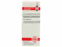 DHU-Arzneimittel GmbH & Co. KG Syzygium Jambolanum D 6 Globuli 10 g 07460147_DBA