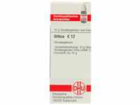 DHU-Arzneimittel GmbH & Co. KG Urtica C 12 Globuli 10 g 07597225_DBA