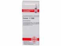 DHU-Arzneimittel GmbH & Co. KG Conium C 1000 Globuli 10 g 07165595_DBA
