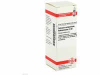 DHU-Arzneimittel GmbH & Co. KG Calcium Carbonicum Hahnemanni C 30 Dilution 20 ml