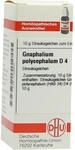 DHU-Arzneimittel GmbH & Co. KG Gnaphalium Polycephalum D 4 Globuli 10 g 07168932_DBA