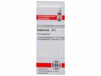 DHU-Arzneimittel GmbH & Co. KG Euphrasia D 2 Globuli 10 g 04216607_DBA