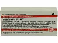 DHU-Arzneimittel GmbH & Co. KG Tuberculinum GT LM VI Globuli 5 g 02822663_DBA