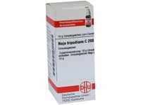 DHU-Arzneimittel GmbH & Co. KG Naja Tripudians C 200 Globuli 10 g 07174890_DBA