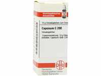 DHU-Arzneimittel GmbH & Co. KG Capsicum C 200 Globuli 10 g 07163254_DBA