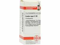 DHU-Arzneimittel GmbH & Co. KG Castor equi C 30 Globuli 10 g 07246750_DBA